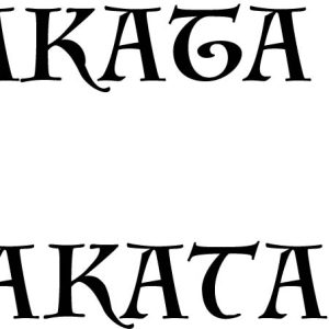 AKIRASAKATACOCODA